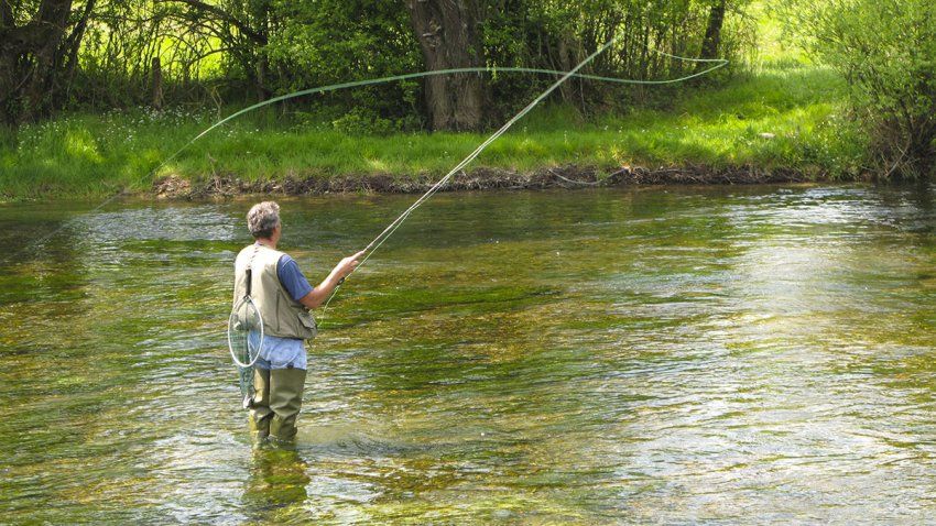 seguro pesca reale aranjuez