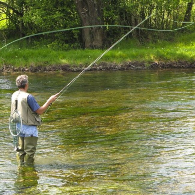 seguro pesca reale aranjuez